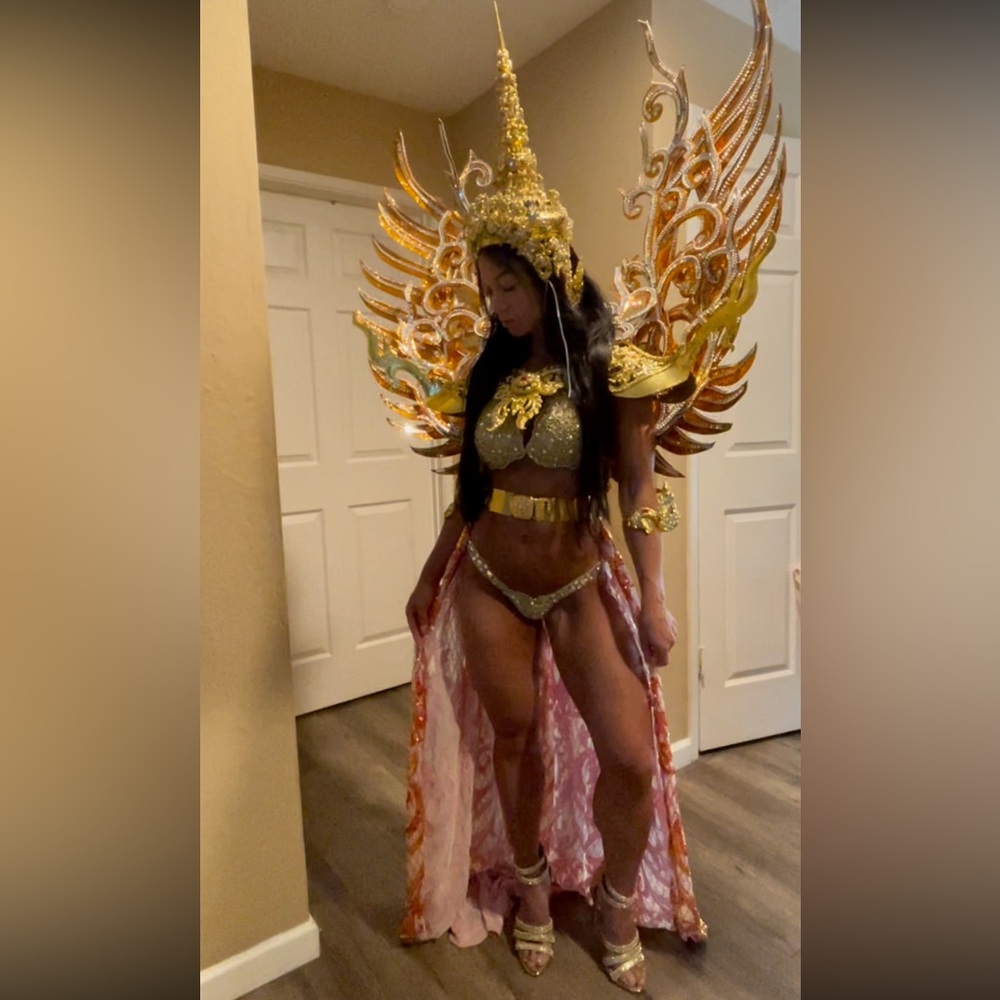 Gold and Orangey Red Angelic Costume with Wings